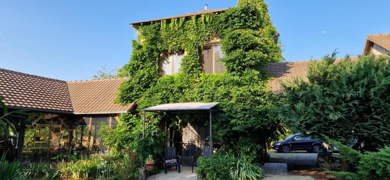 Vila Les Grands Bois Saint-Épain Exteriér fotografie
